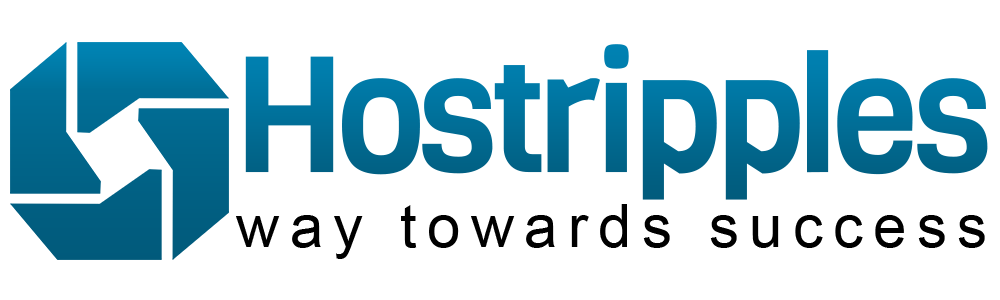 HostRipples India is our Silver Sponsor at WordCamp Pune 2017